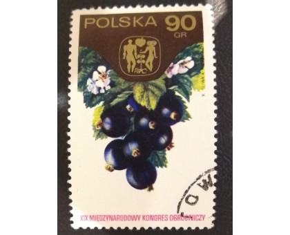 Польша (3023)