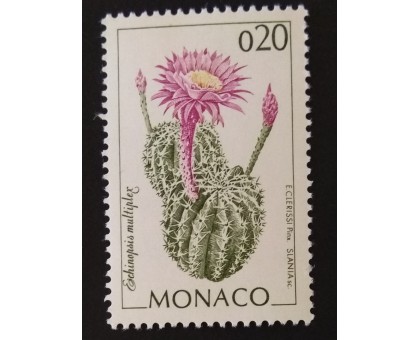Монако (3287)
