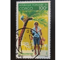 Конго (3339)