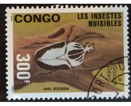 Конго (3347)