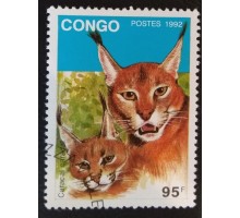 Конго (3354)