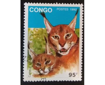 Конго (3354)