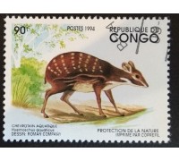 Конго (3355)
