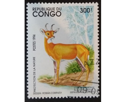 Конго (3356)