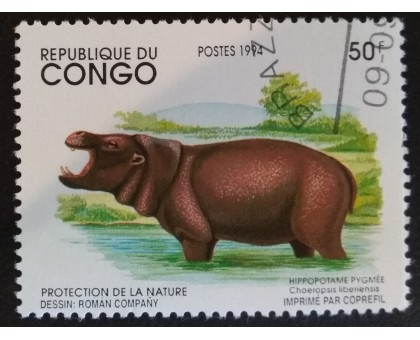Конго (3357)