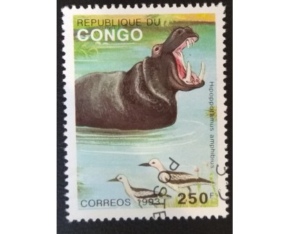 Конго (3360)