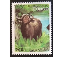 Конго (3361)
