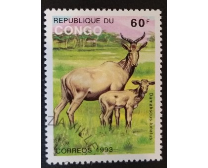 Конго (3362)