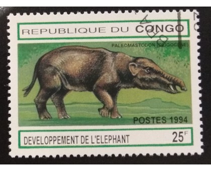 Конго (3390)
