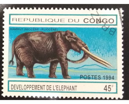 Конго (3391)