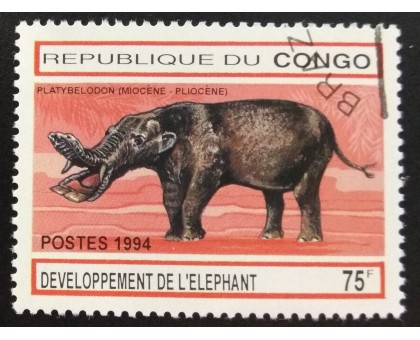 Конго (3393)