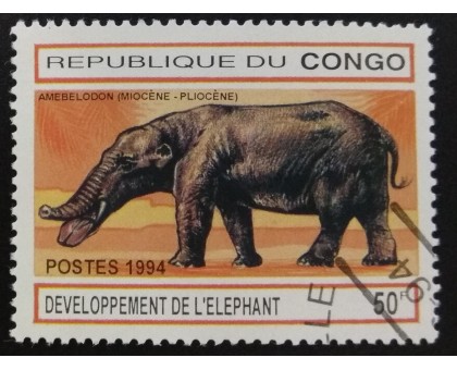 Конго (3395)