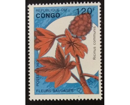 Конго (3398)
