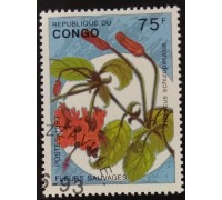 Конго (3399)
