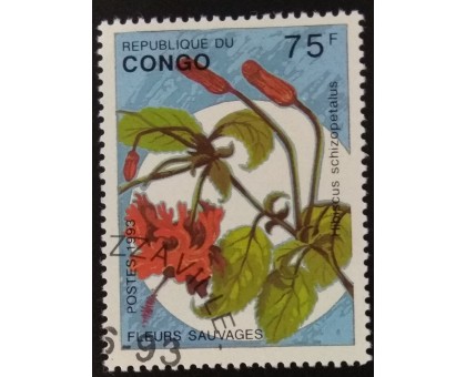 Конго (3399)