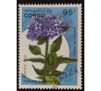 Конго (3400)