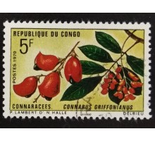 Конго (3402)