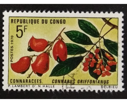 Конго (3402)