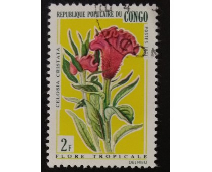 Конго (3405)