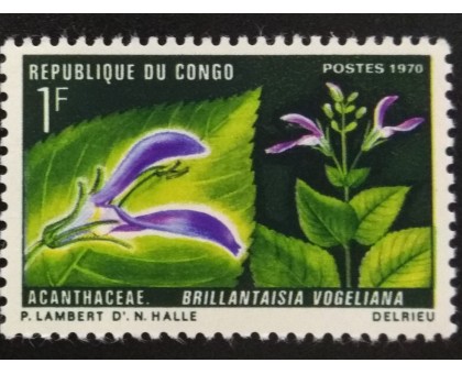 Конго (3407)