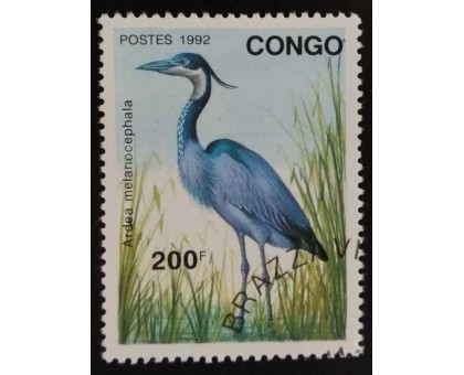 Конго (3420)