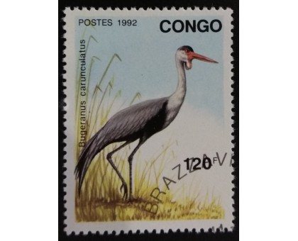 Конго (3423)