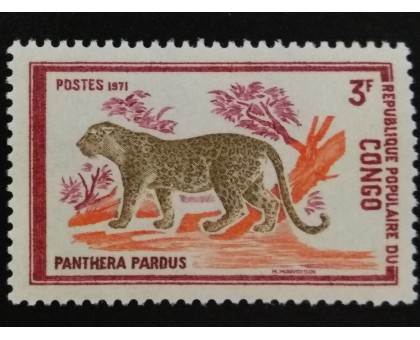 Конго (3445)