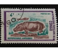 Конго (3446)