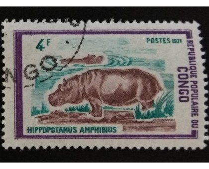 Конго (3446)