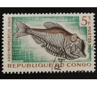 Конго (3452)