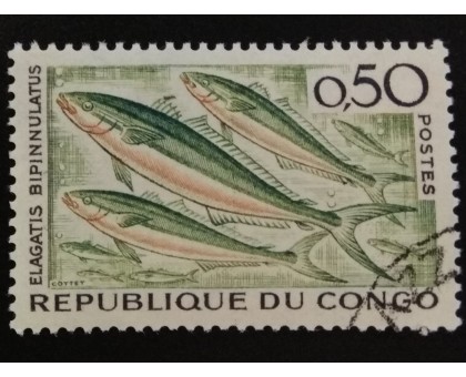 Конго (3453)