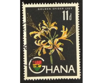 Гана (3517)