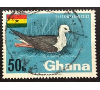 Гана (3524)