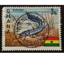 Гана (3526)