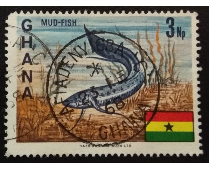 Гана (3526)