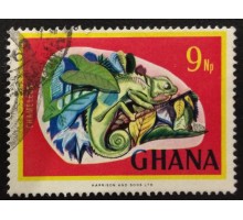 Гана (3535)