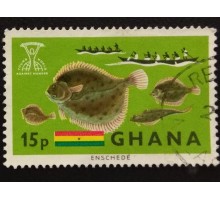 Гана (3538)