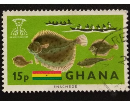 Гана (3538)