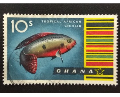 Гана (3541)