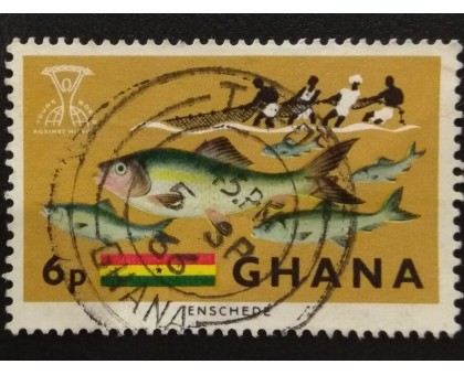 Гана (3543)