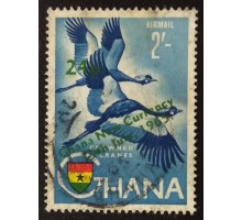 Гана (3568)