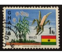 Гана (3580)