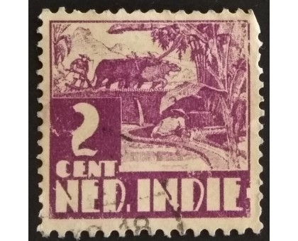Индия (нидерландская) (3884)