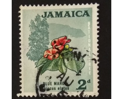 Ямайка (3891)