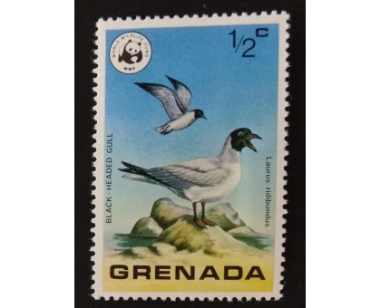 Гренада (3914)