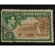 Ямайка (3964)