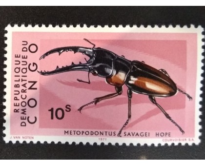 Конго (4038)