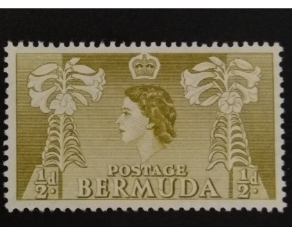 Бермуды (4074)