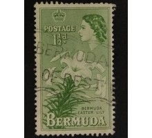 Бермуды (4075)
