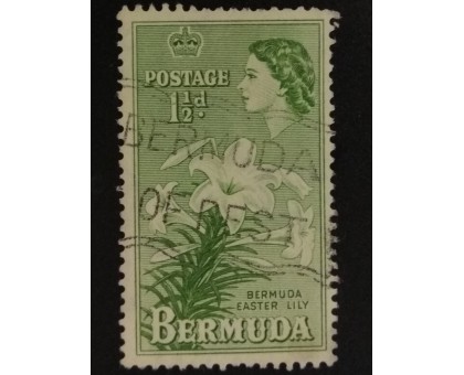 Бермуды (4075)